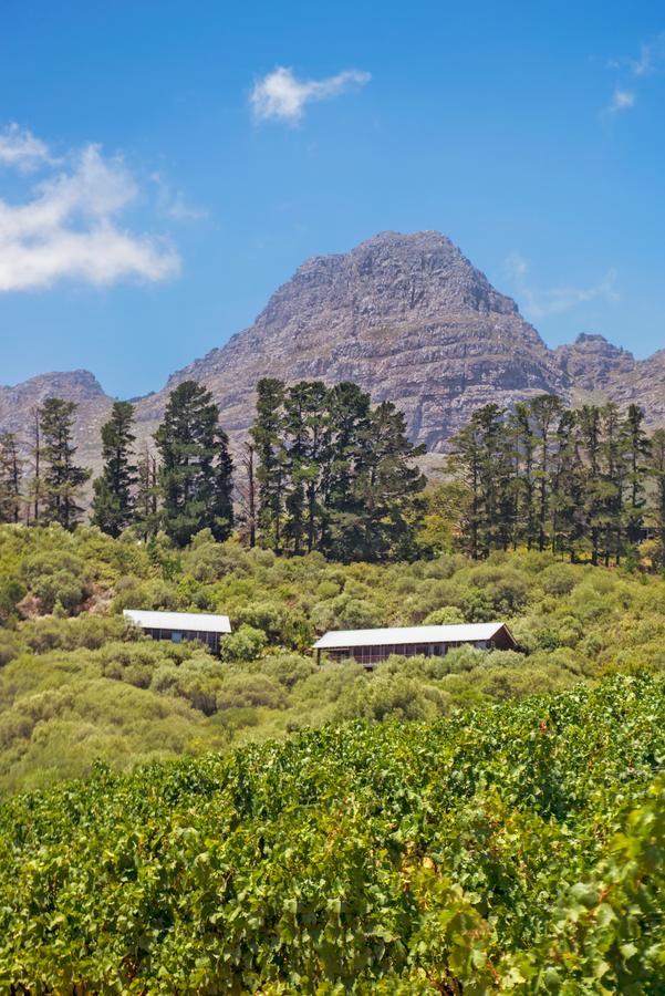 Bush Lodge At Hidden Valley Wines Stellenbosch Bagian luar foto