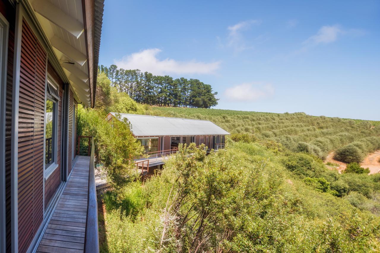 Bush Lodge At Hidden Valley Wines Stellenbosch Bagian luar foto